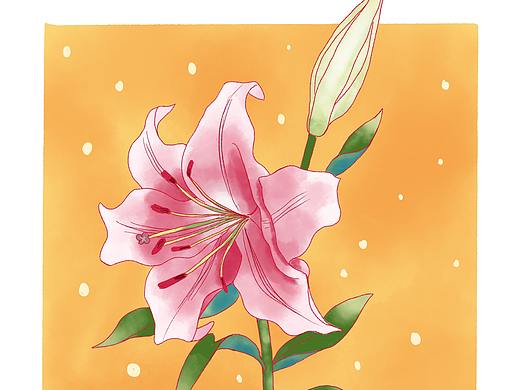 插画图片-水彩花卉