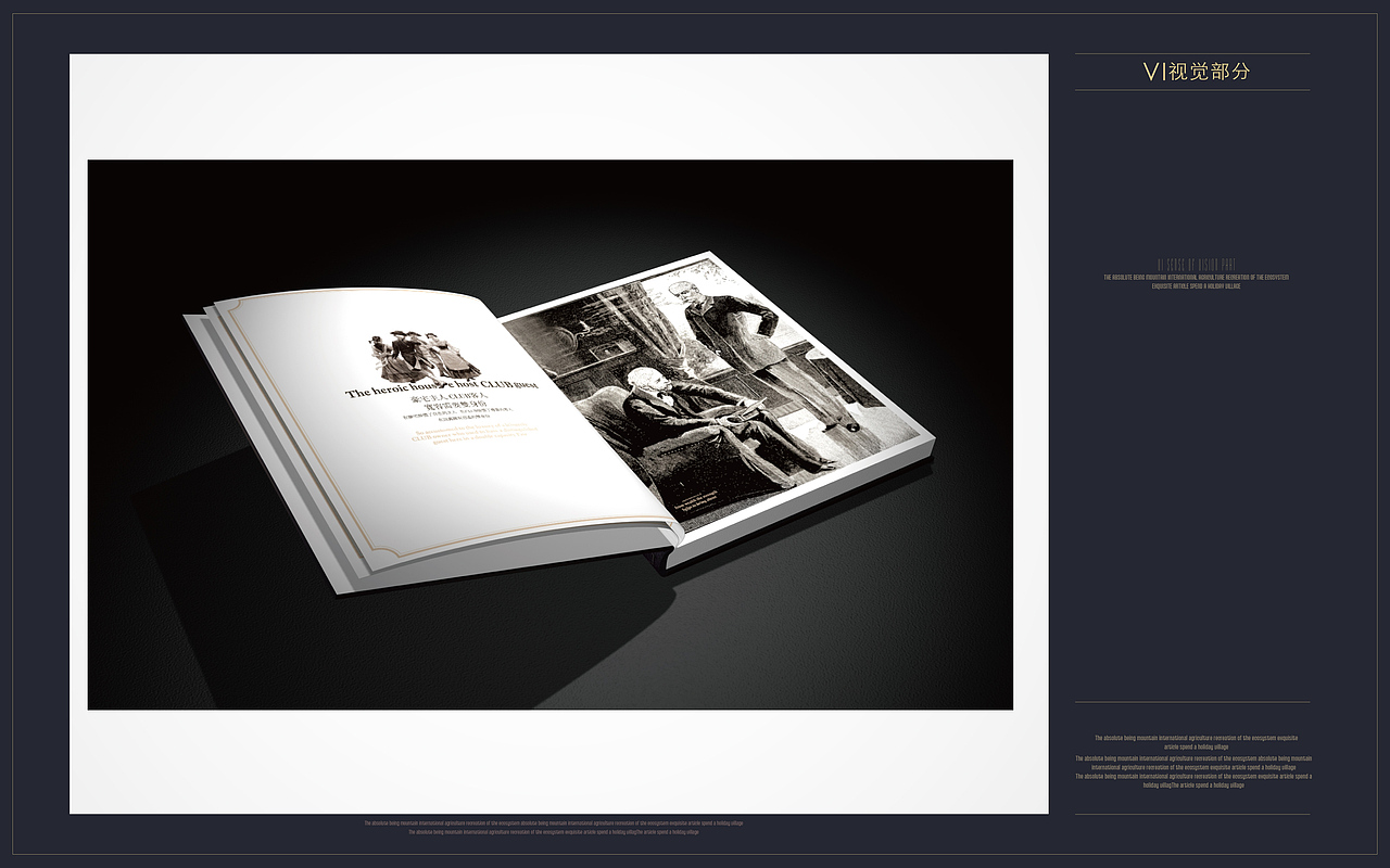 国色天香别墅项目VI设计方案B