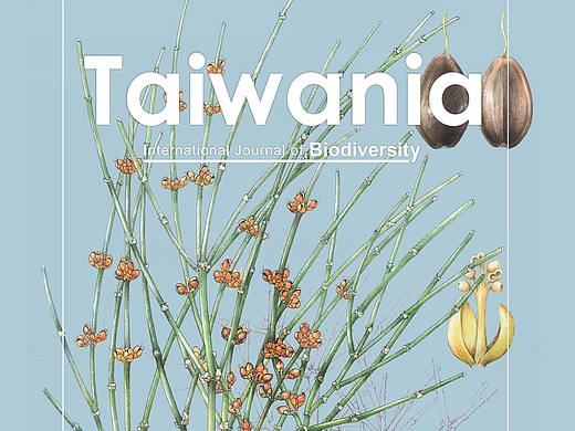 《Taiwania》Vol. 66 No. 1封面作品（個(gè)人主頁(yè)-ZNTE1MjY3MzI=） - 繪畫(huà) - 站酷設(shè)計(jì)師尋山追水原創(chuàng)素材 - 站酷ZCOOL