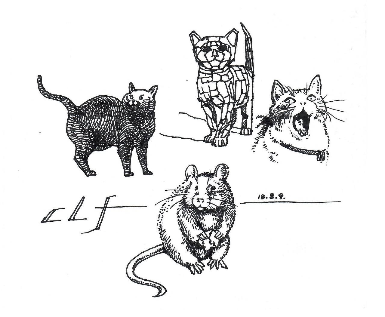 猫抓老鼠素描图片