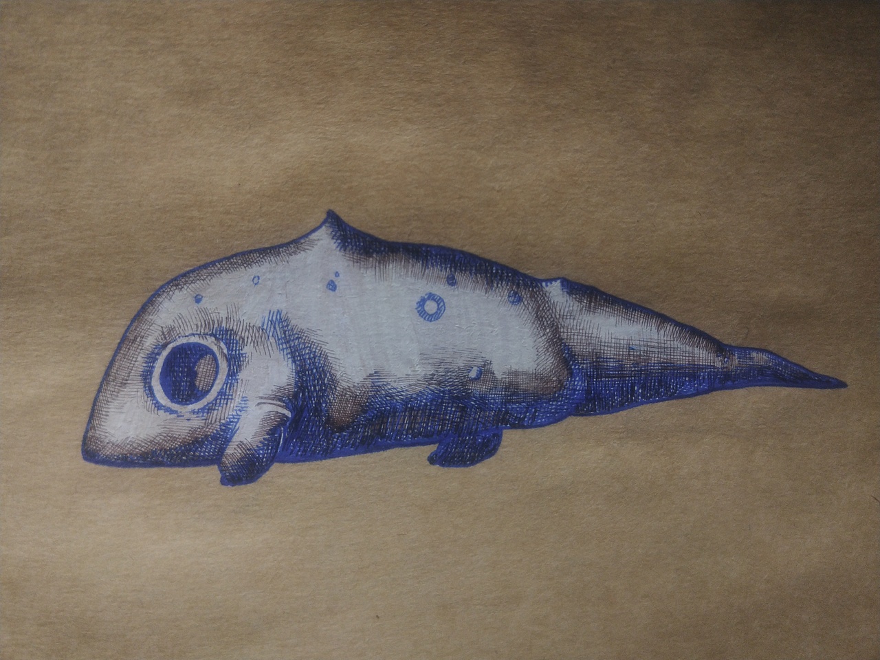 初代奥特曼系列 1|其他|其他|爬在岸上的鱼 - 原创作品 - 站酷 (zcool