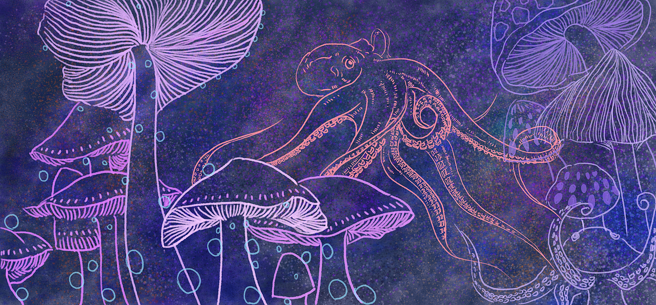 Mushrooms and Octopus（图ZMjAxNjE4NzY4） - 创作习作 - 站酷设计师Jujin01原创素材 - 站酷ZCOOL