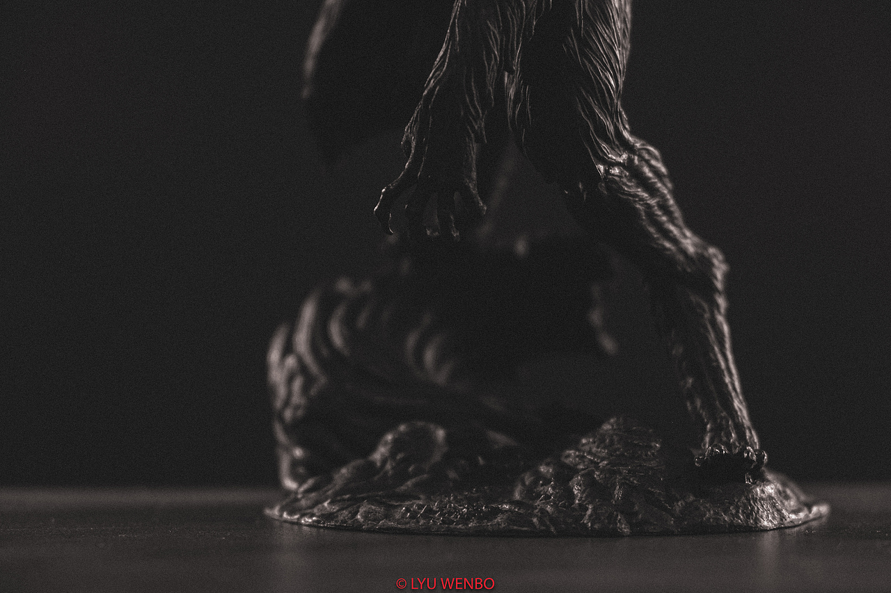 随手拍拍伊利丹合体