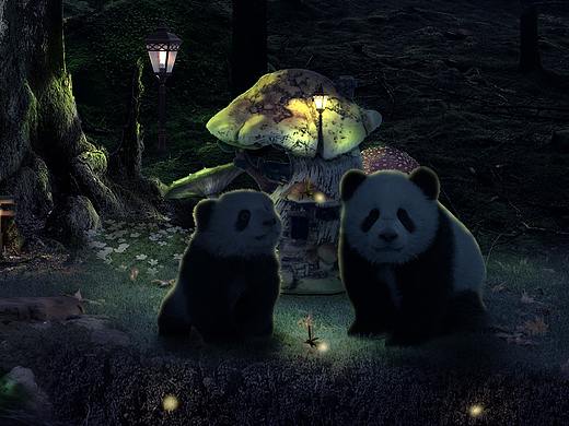大自然的美景