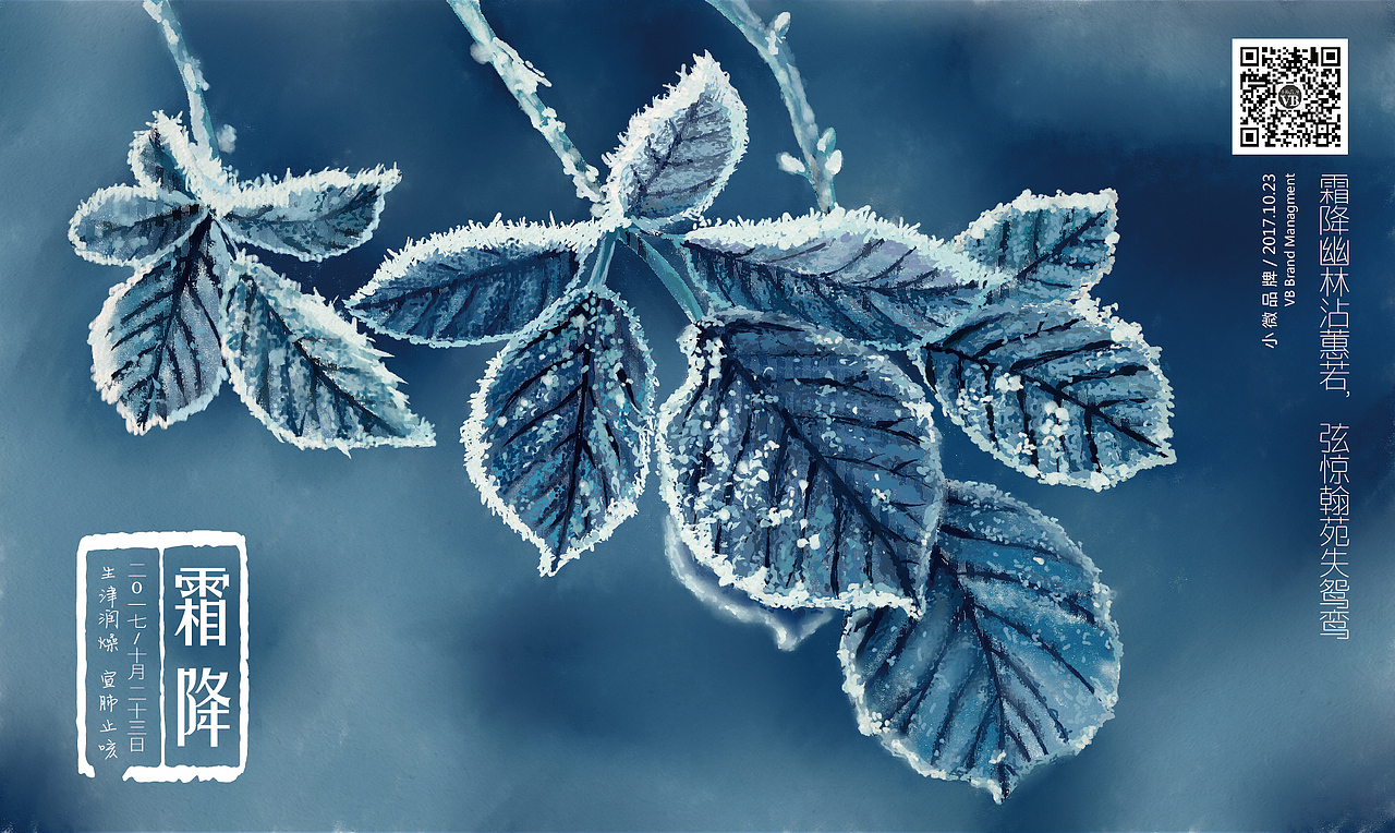 一年手绘节气插图