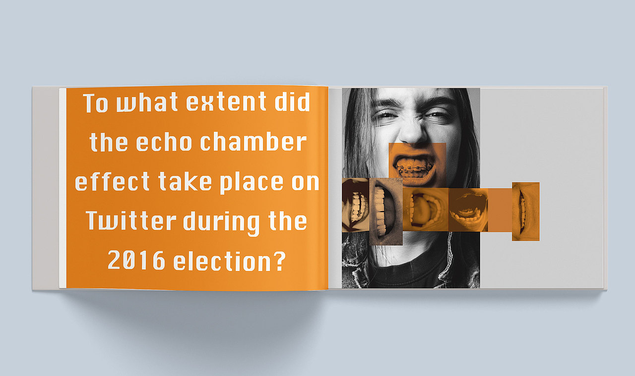 echo chamber “回声室效应”