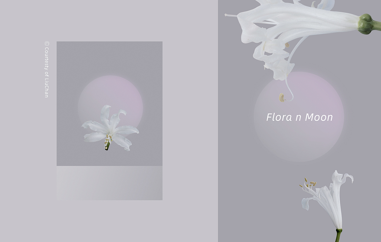 「 FLORA N MOON 」 花与月亮（图ZMjEzNTcyODAw） - 产品摄影 - 站酷设计师阿蚕原创素材 - 站酷ZCOOL