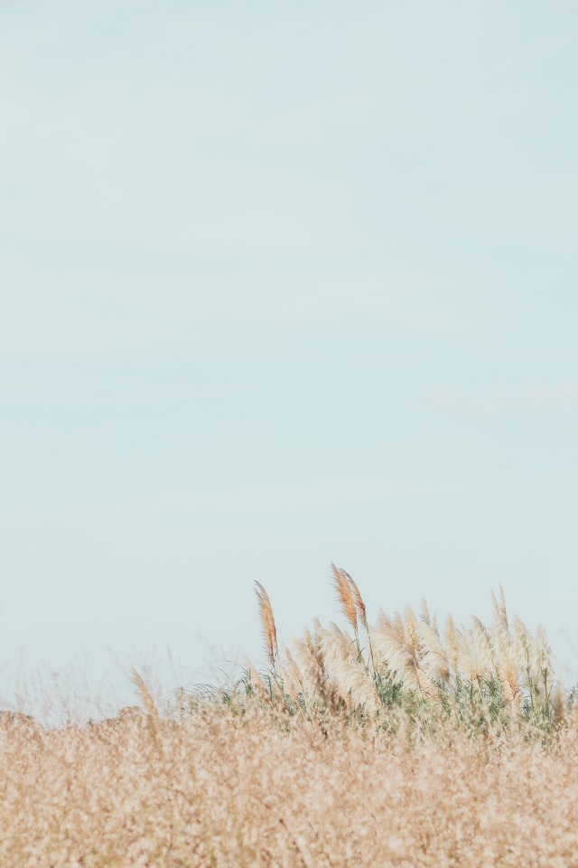 毛氈毛氈的個(gè)人主頁(yè)（封面預(yù)覽） - 主頁(yè)封面設(shè)置 - 站酷設(shè)計(jì)師毛氈毛氈原創(chuàng)素材 - 站酷ZCOOL