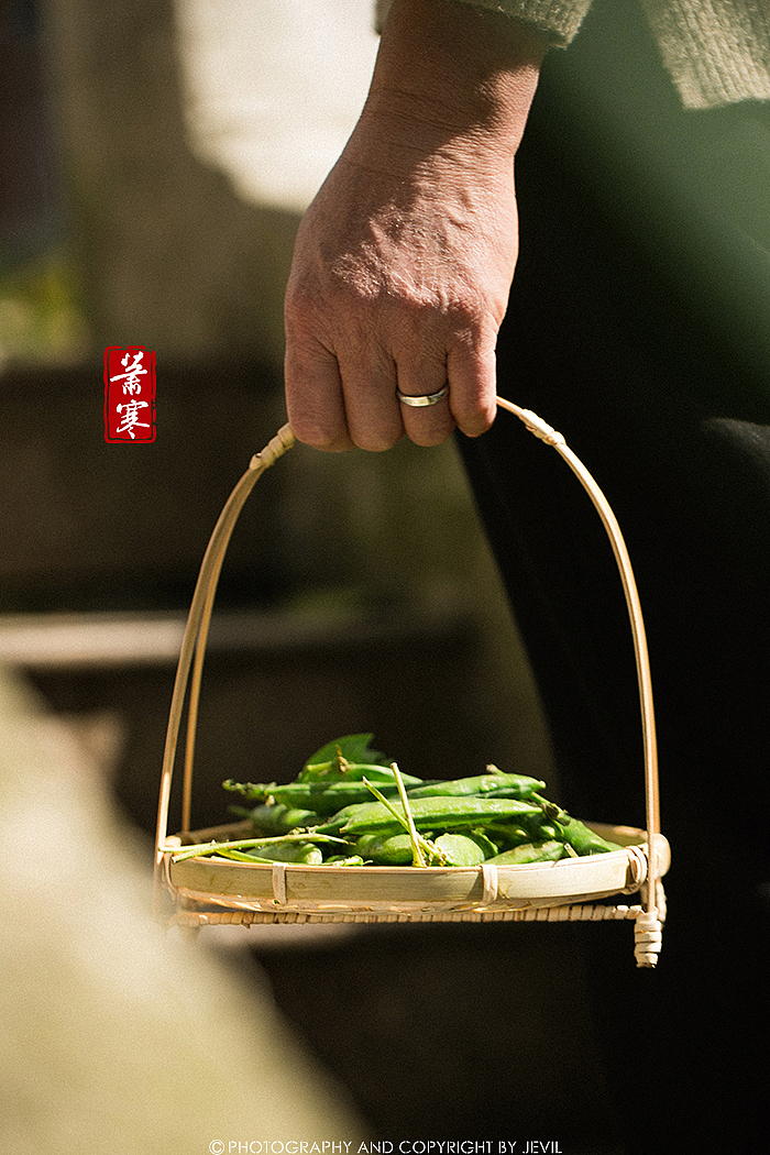 国风静物摄影 | 豌豆斩新绿（图ZMjU3NTU1OTM2） - 美食摄影 - 站酷设计师萧寒Jevil原创素材 - 站酷ZCOOL