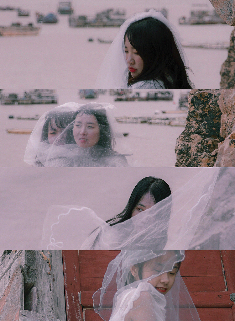 今日乐相乐。别后莫相忘「鲸摄」