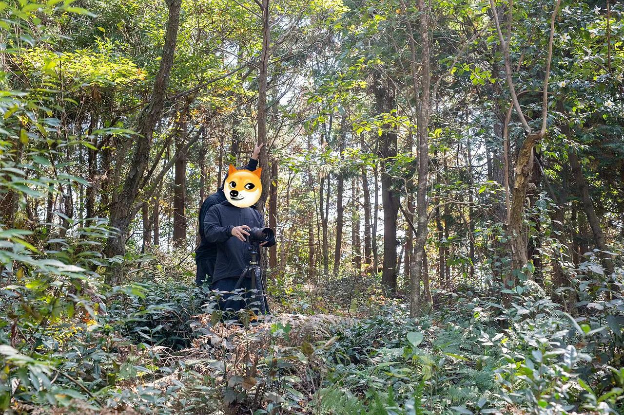 葵夏舞蹈学校平面宣传视觉拍摄