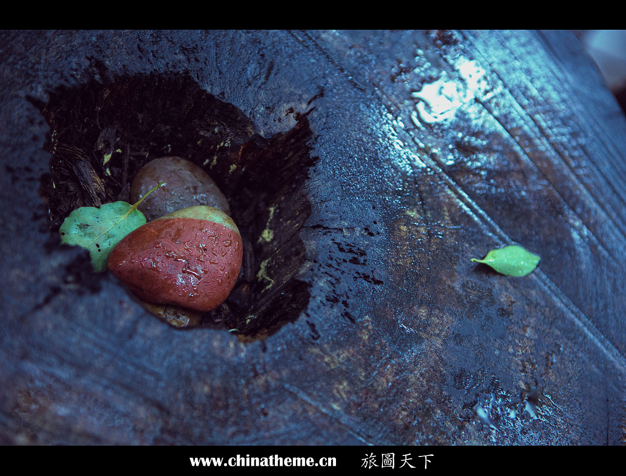 圆润的鹅卵石,细密的水洼。疯狂的午后斜阳,尖叫的人群。黑夜里的一角,影子晖斜的散落。在没有记录下之前,你永远不知道你下一秒想要的画面和风景,可是在你行走的路上的一瞬,你就知道有些东西注定会和你有千丝万缕的关系,有感动颤抖的感情。