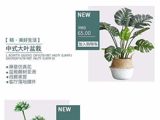 绿植