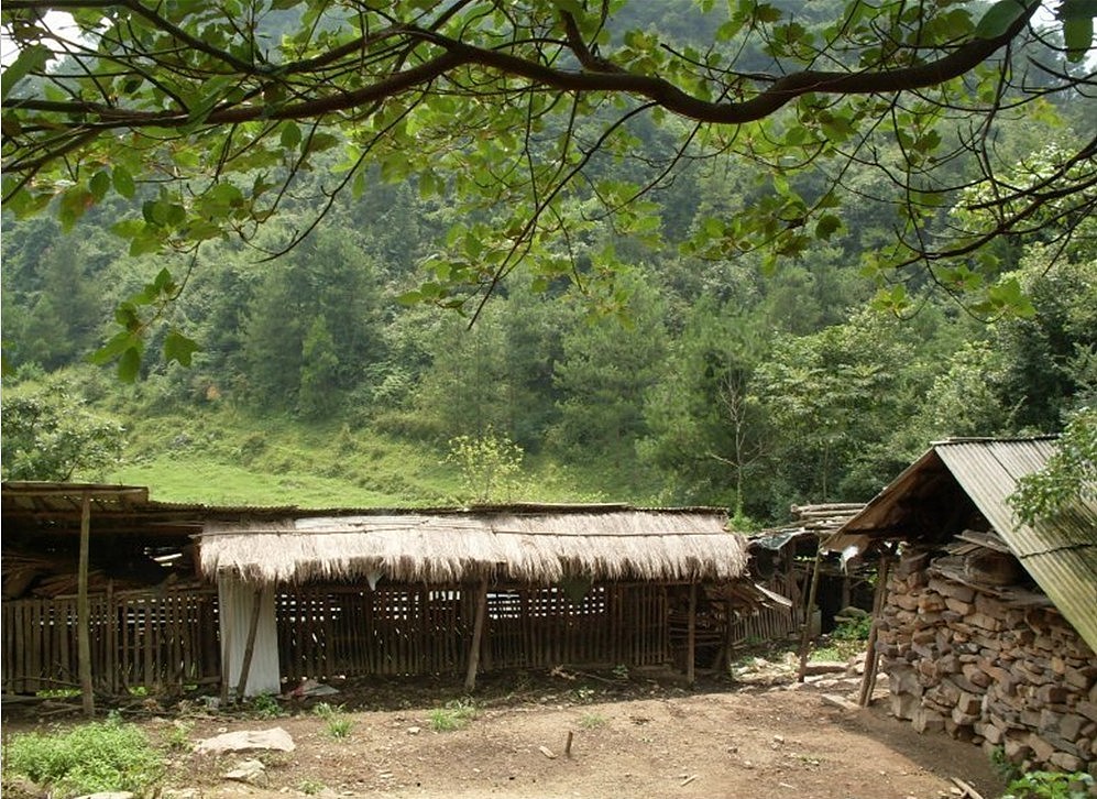 当你知道享受的时候 背后也有你不可知道的密码 家里的四季让我无法停止的恋