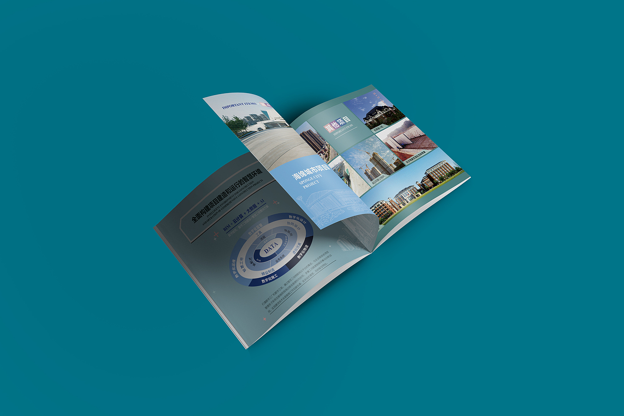 中欧远大新版画册