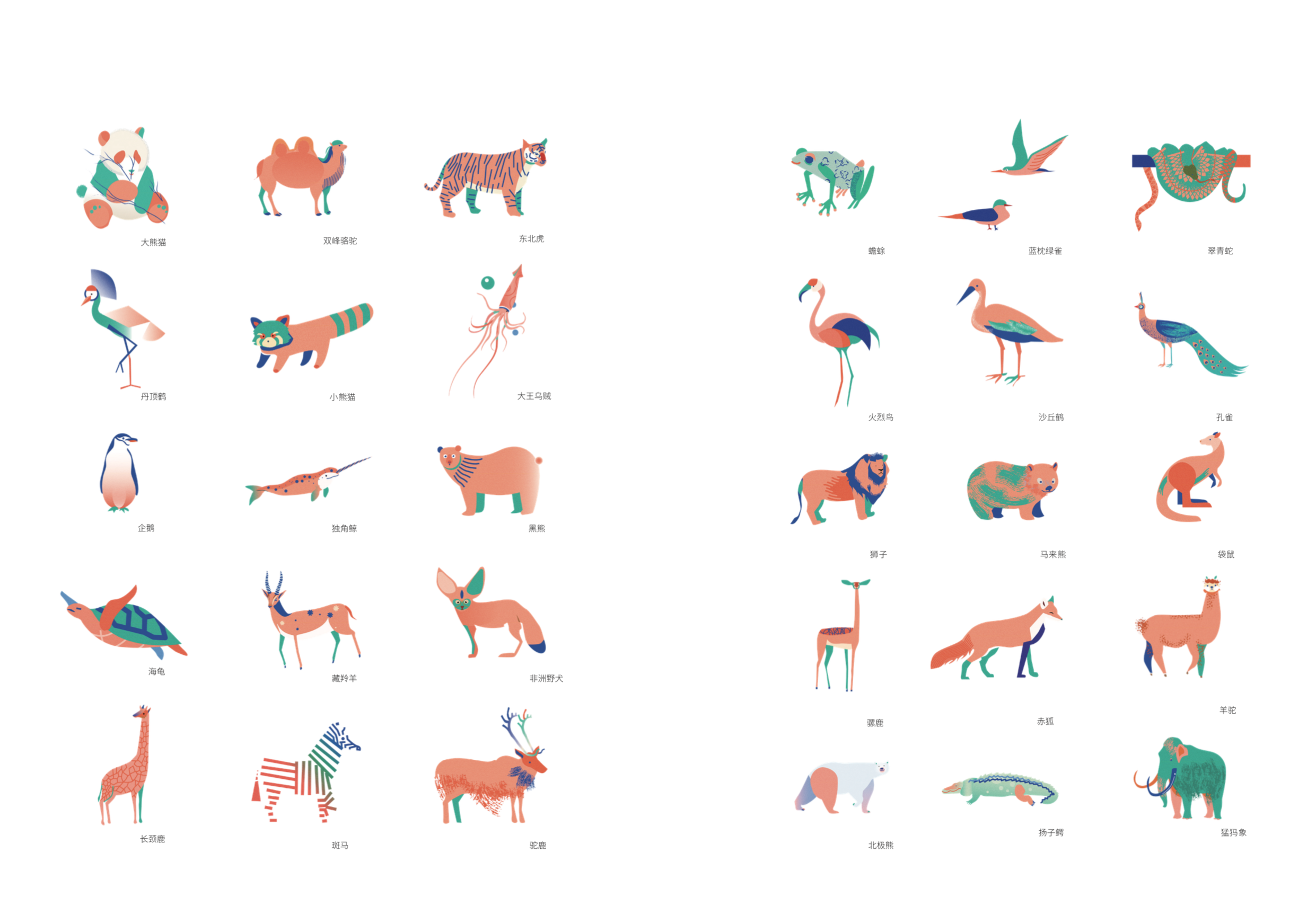 动物元概念品牌设计|平面|品牌|云一地 - 原创作品 - 站酷 (zcool)