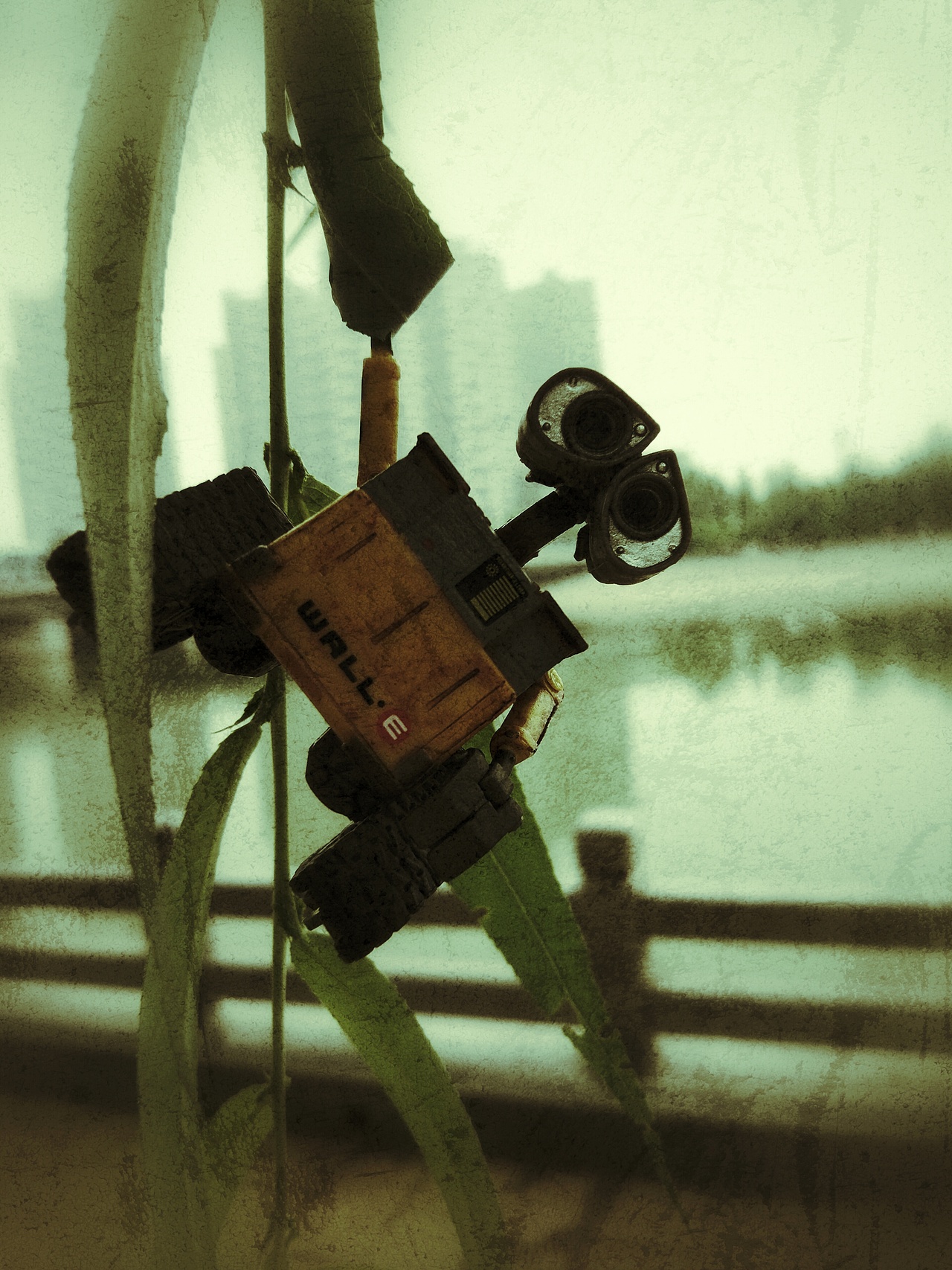 寻找伊娃（图ZNTM0NzQ0NjQ=） - 产品摄影 - 站酷设计师蜗牛大声唱原创素材 - 站酷ZCOOL