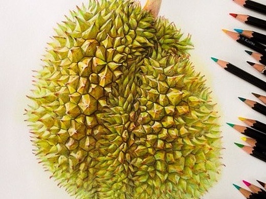 彩铅榴莲