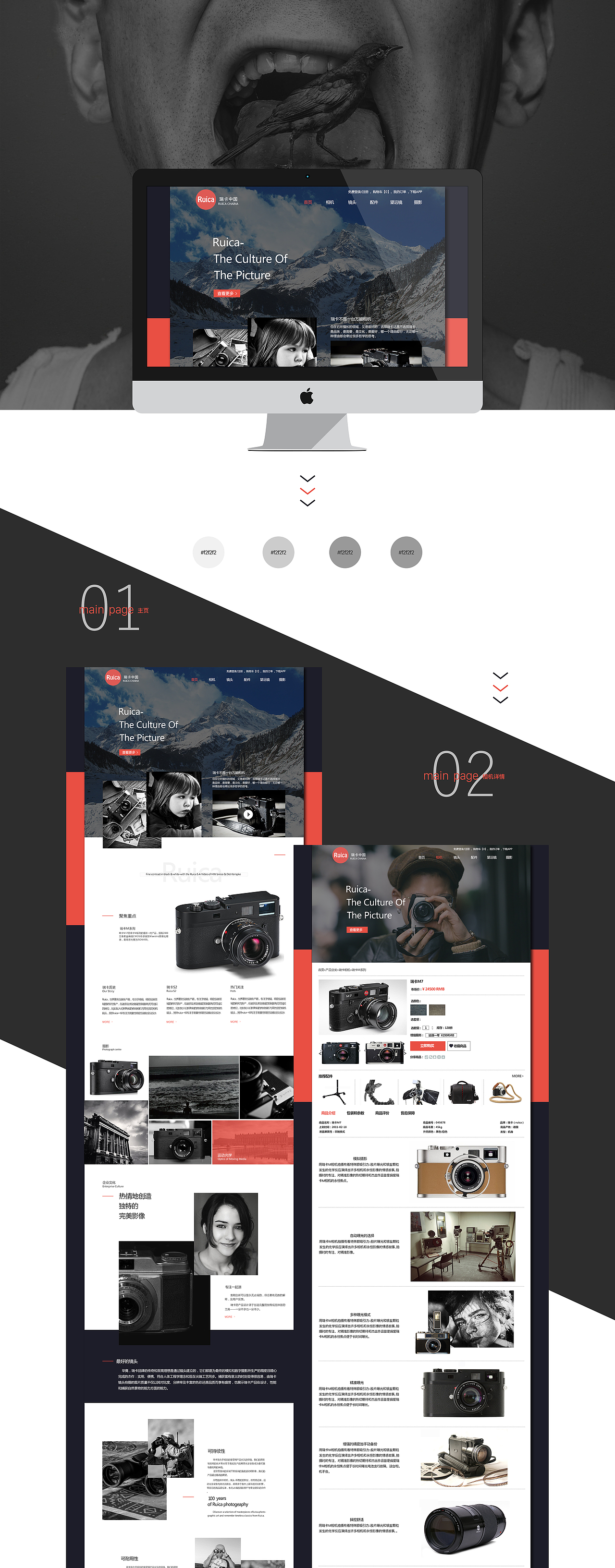 Ruica相机 电商 网页设计