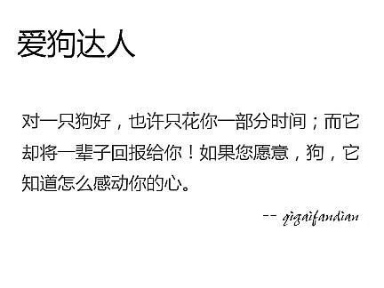 宠物类网站