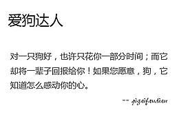 宠物类网站
