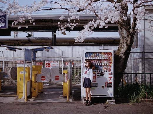 樱花抄
