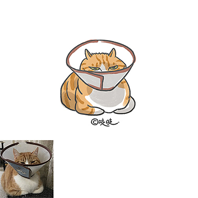猫咪画像合集（图ZMTM2MDYzNTUy） - 创作习作 - 站酷设计师zhizhi吱吱原创素材 - 站酷ZCOOL