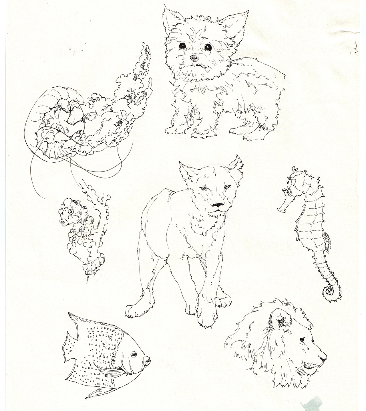 一些手绘作品（图ZMjk0NTgxMDc2） - 创作习作 - 站酷设计师家常小羊原创素材 - 站酷ZCOOL