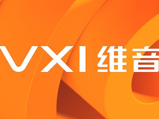 VXI 维音|品牌系统战略升级