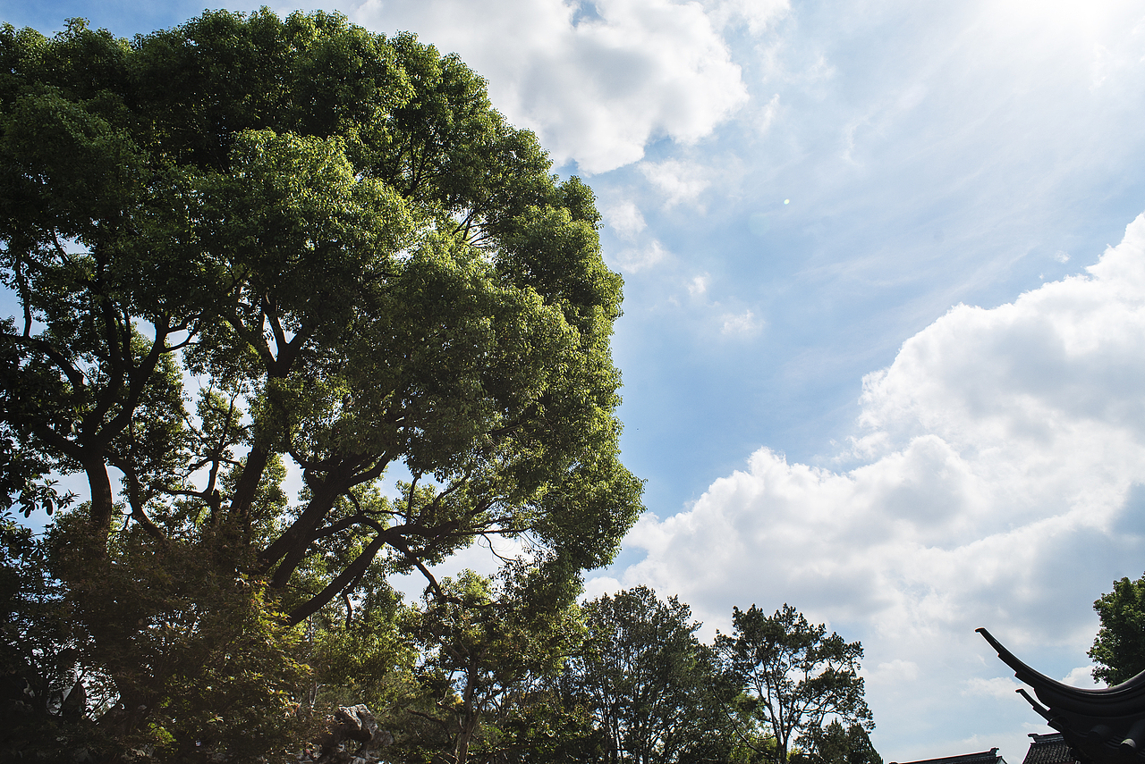 游狮子林记（图ZMTgwNzg0NDMy） - 风光摄影 - 站酷设计师ROCKYVISION18原创素材 - 站酷ZCOOL