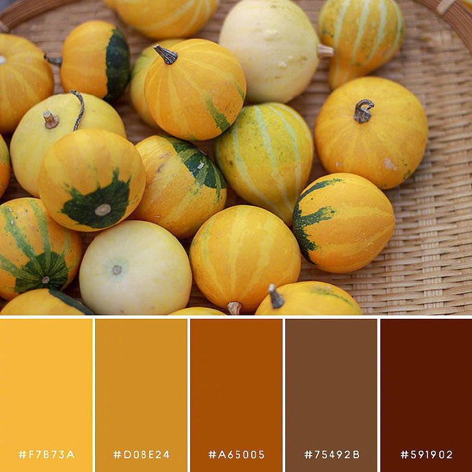 大自然的颜色搭配，转需收藏！（图ZMTkyMDQwODA0） - 其他平面 - 站酷设计师学设计上兔课网原创素材 - 站酷ZCOOL