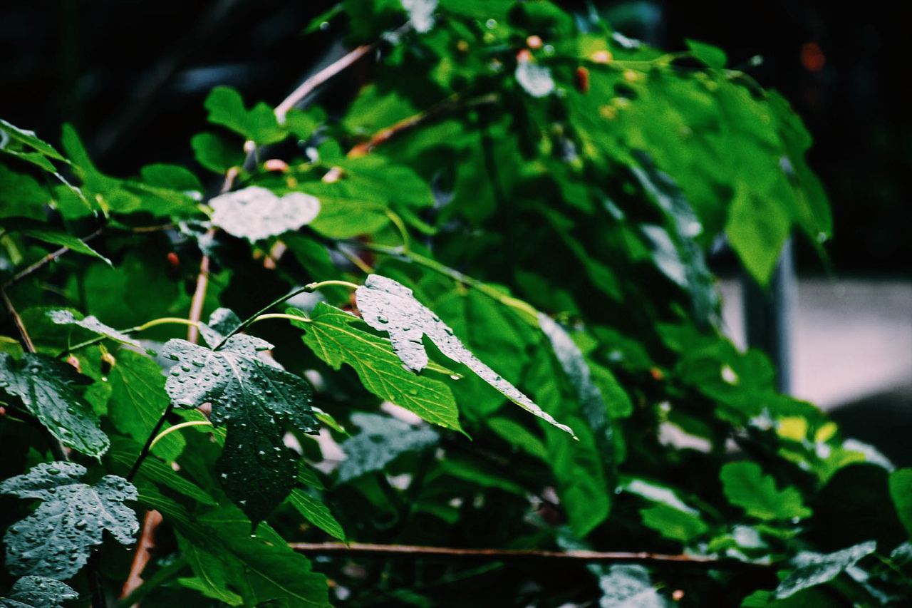 一些乱七八糟的