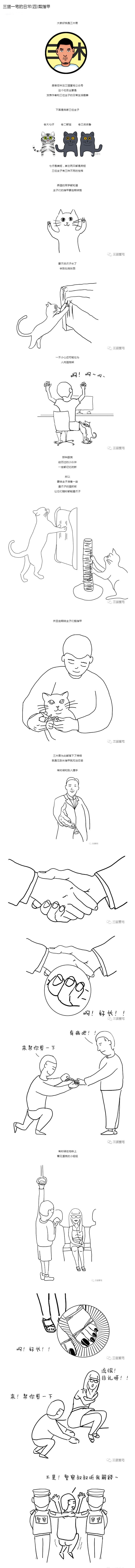 三猫一宅的日常(四)剪指甲