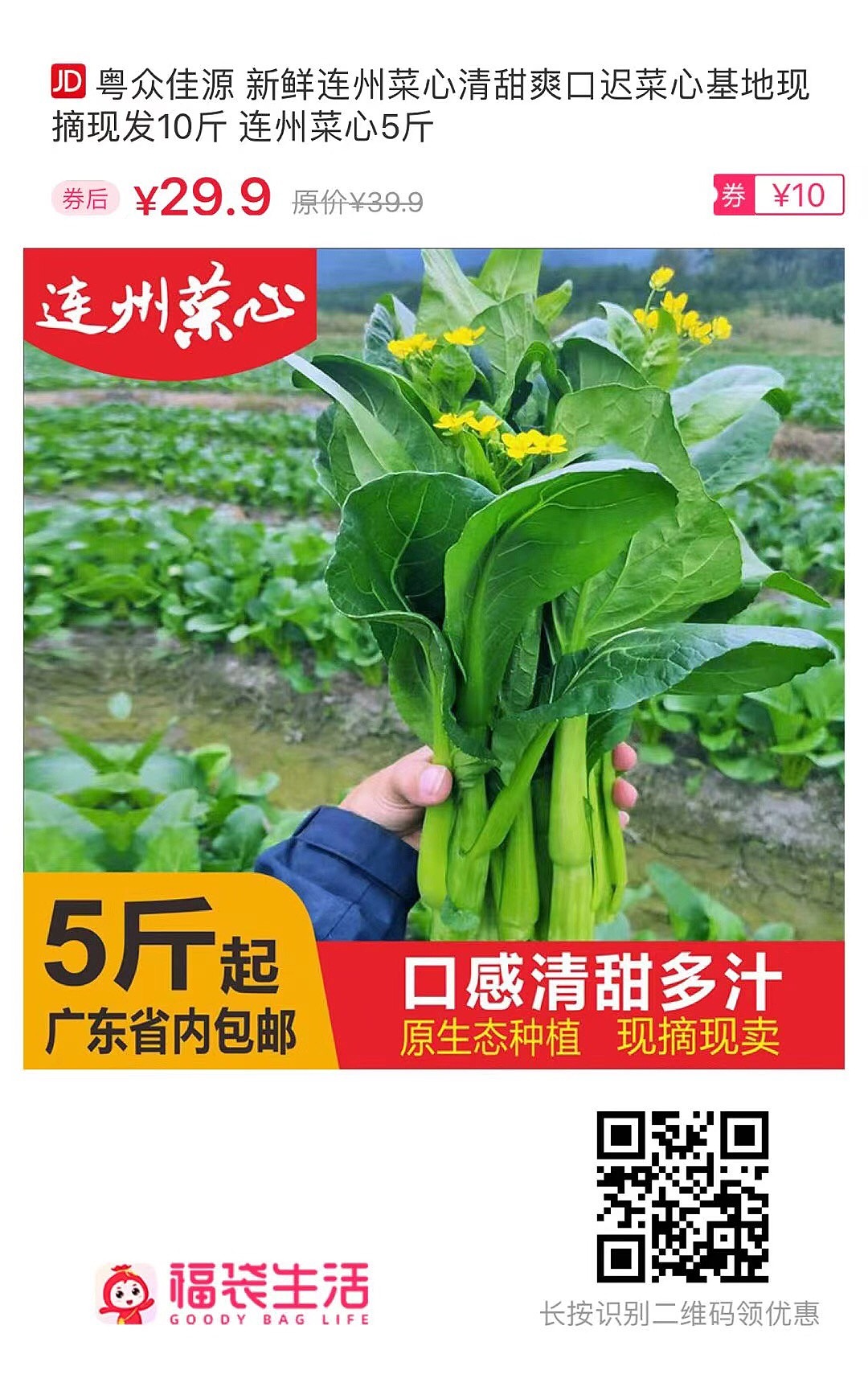 连州菜心品牌推广（图ZMjUwNjA0NjM2） - 品牌 - 站酷设计师张贤杪原创素材 - 站酷ZCOOL