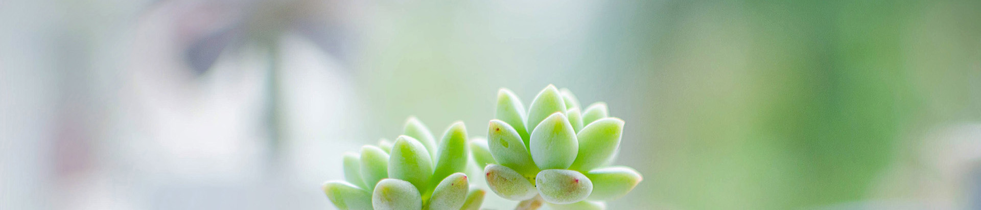 林子莯的个人主页（封面预览） - 主页封面设置 - 站酷设计师林子莯原创素材 - 站酷ZCOOL