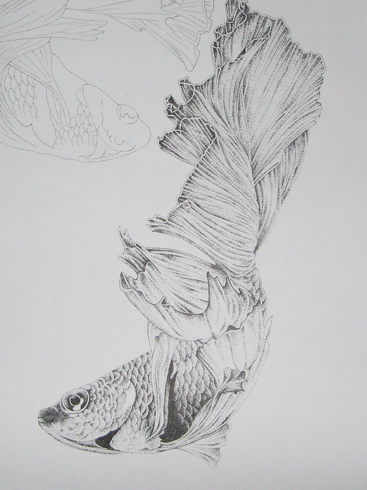 楚歌钢笔画-双鱼（点画）55*40cm（图ZMTU5MzYxNDQ=） - 绘画 - 站酷设计师楚歌76原创素材 - 站酷ZCOOL