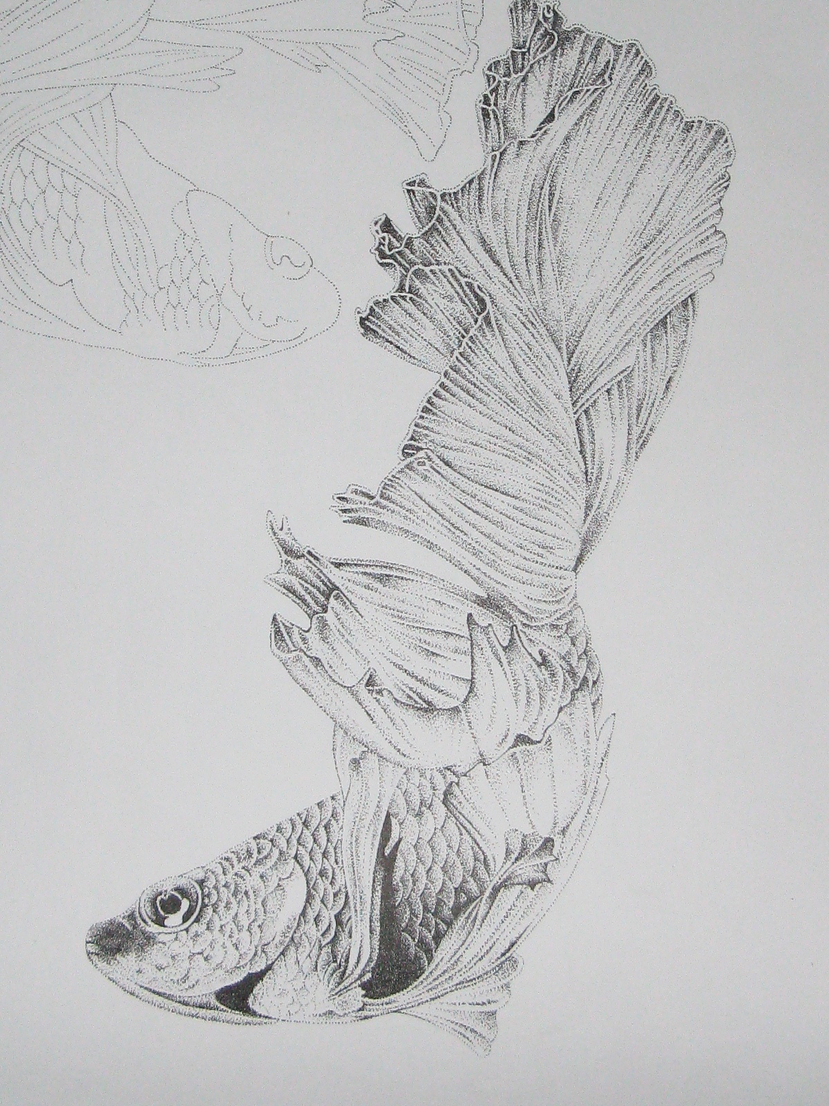 楚歌钢笔画-双鱼(点画)55*40cm