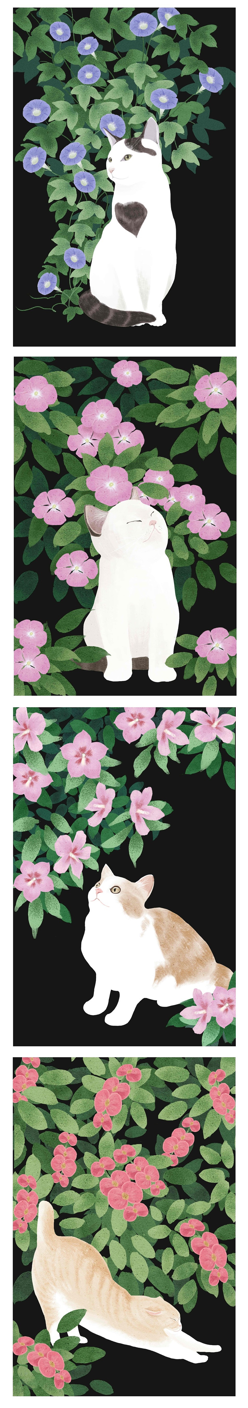 【原创】花吃了那中猫--by淼淼（图ZODg1Mzg2NjQ=） - 商业插画 - 站酷设计师M淼淼原创素材 - 站酷ZCOOL