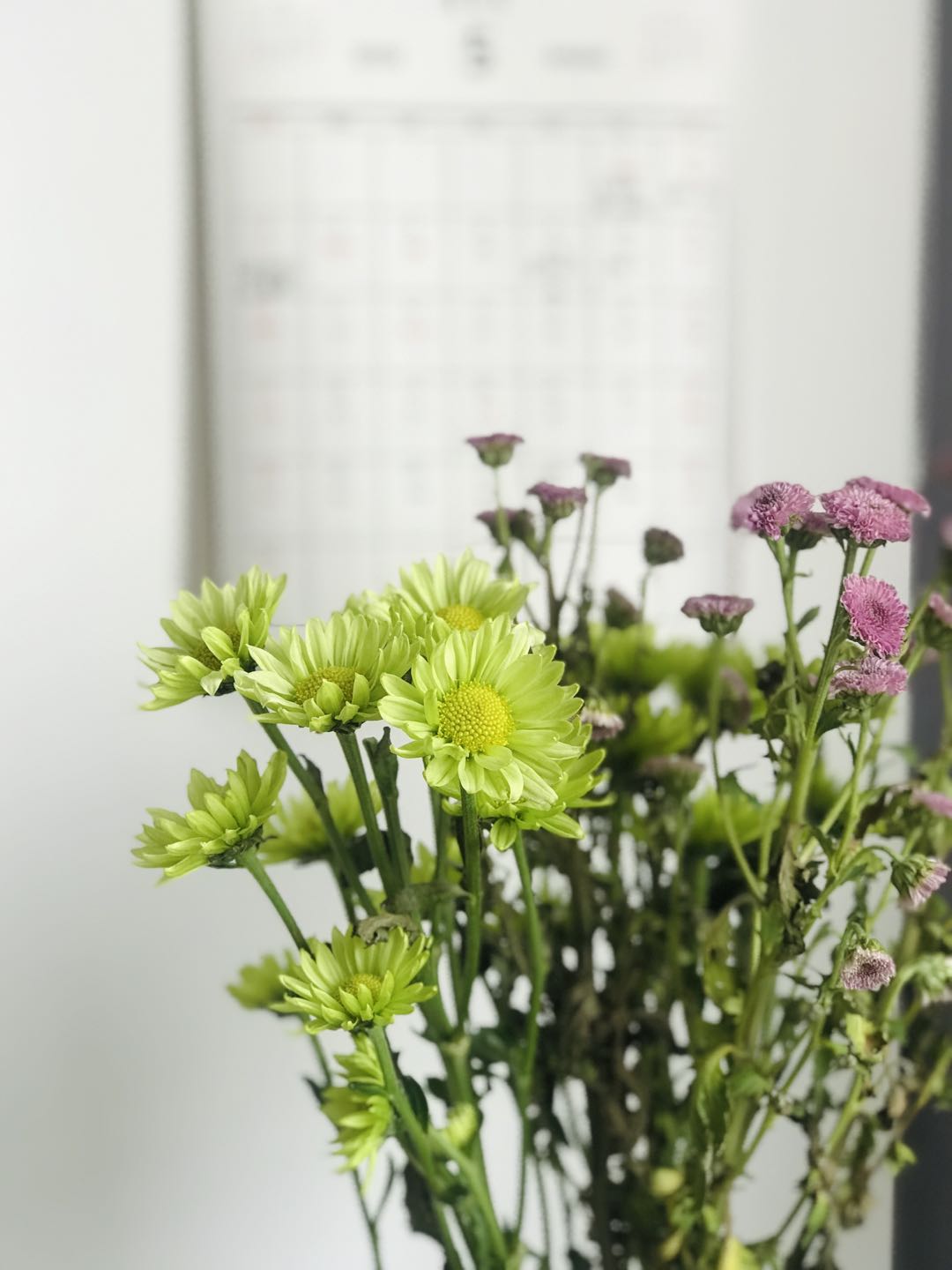 Gaoya鸭的个人主页（背景预览） - 主页背景设置 - 站酷设计师Gaoya鸭原创素材 - 站酷ZCOOL