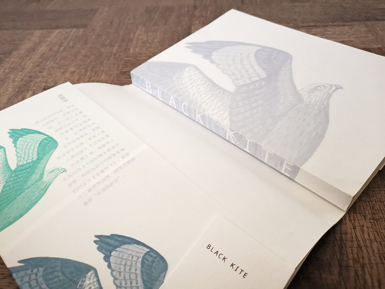 吾然设计——老鹰想飞（图ZMjI5OTYzMTEy） - 书籍/画册 - 站酷设计师吾然设计原创素材 - 站酷ZCOOL