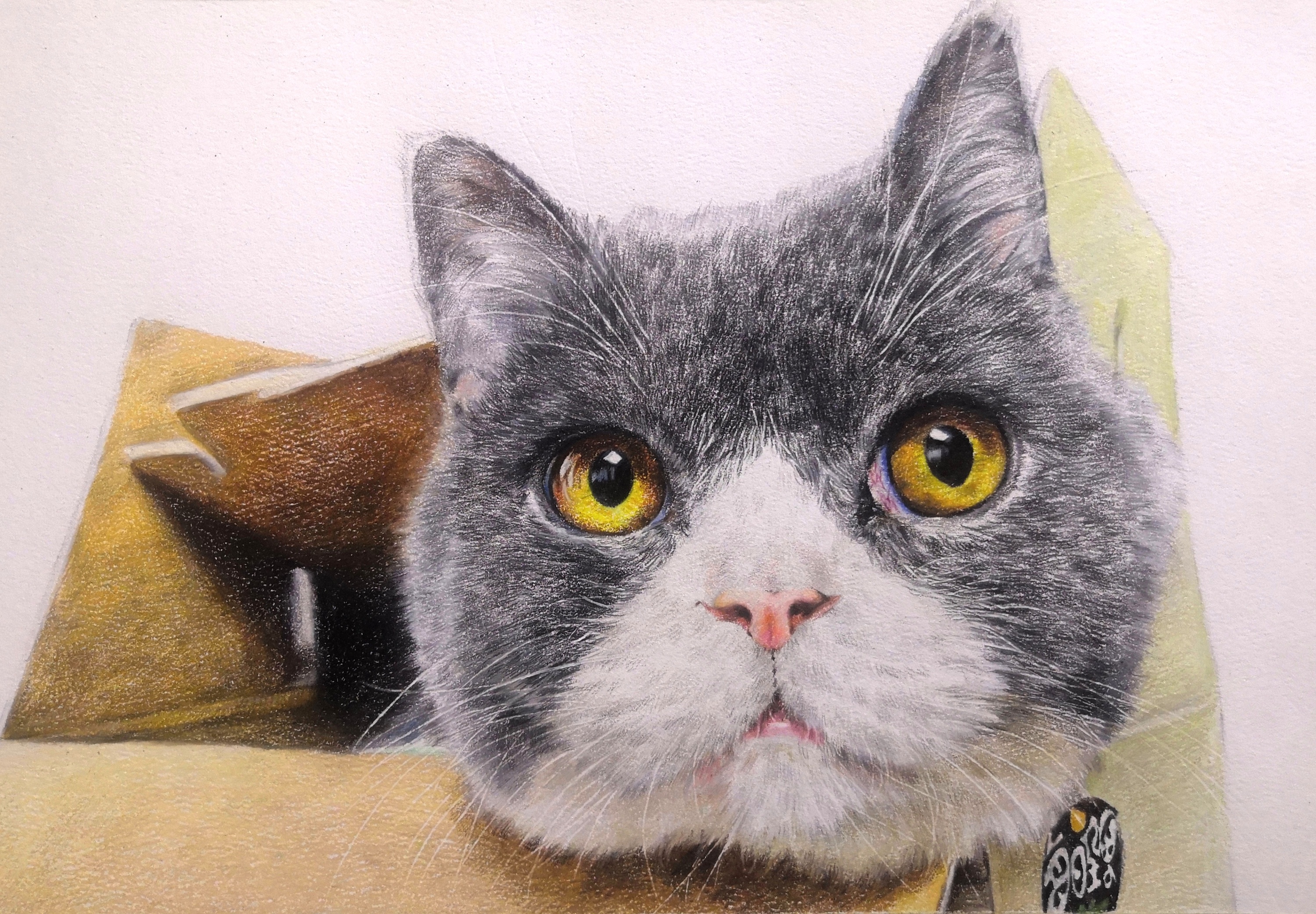 彩铅—箱子里的蓝猫