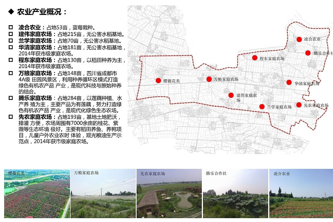 田园综合体/森林康养/亲子农场