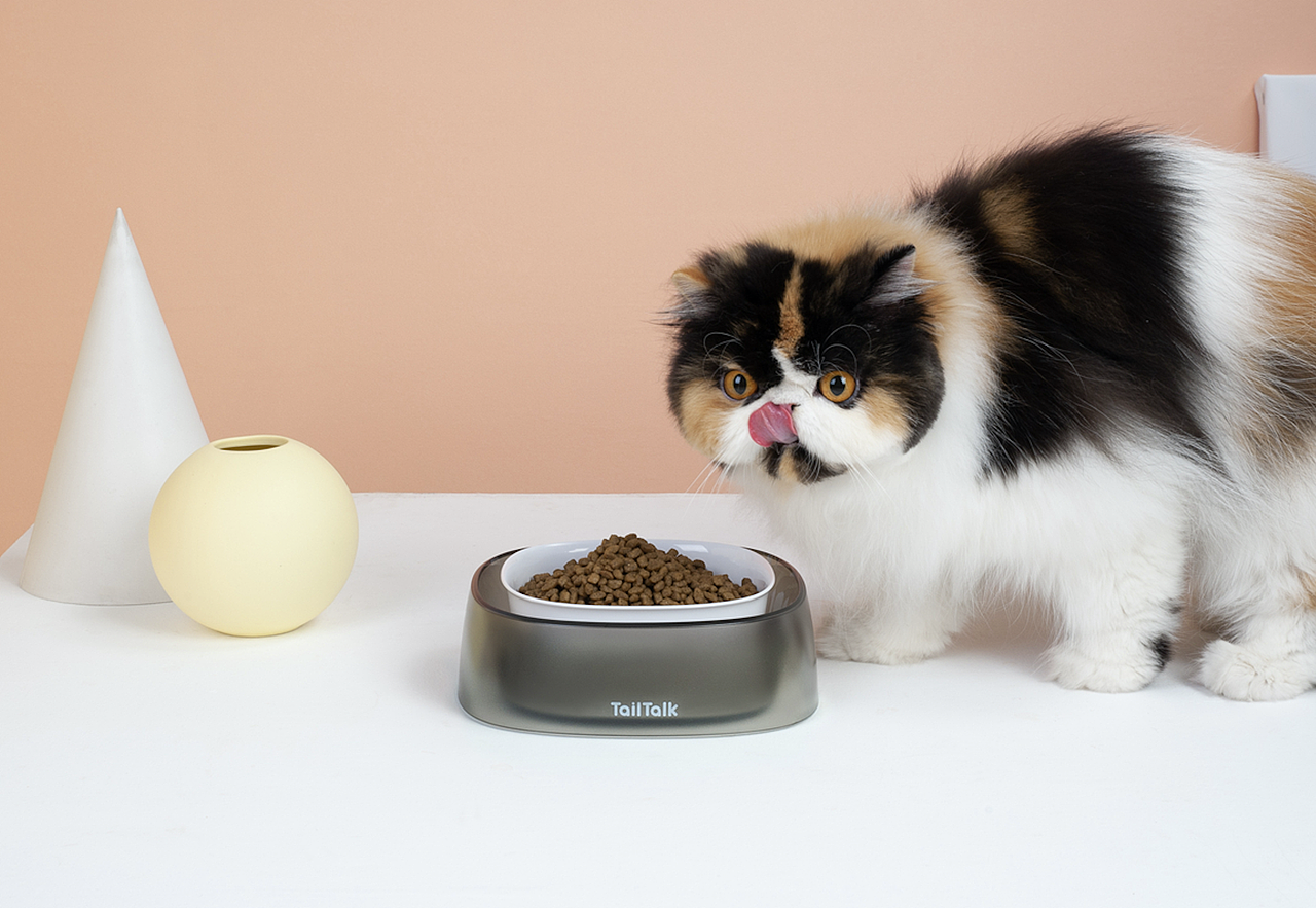 宠物产品拍摄 TailTalk麻球说宠物防溢碗