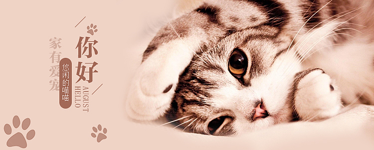 banner（图ZMTM3NzM3MzAw） - 宣传物料 - 站酷设计师鹤之泣原创素材 - 站酷ZCOOL