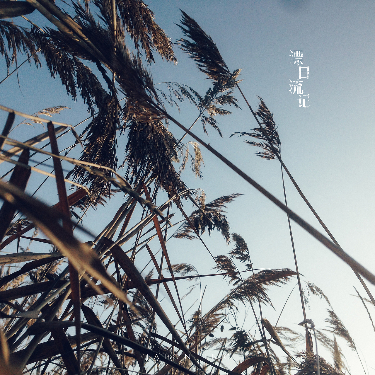 漂流日记【手机摄影】