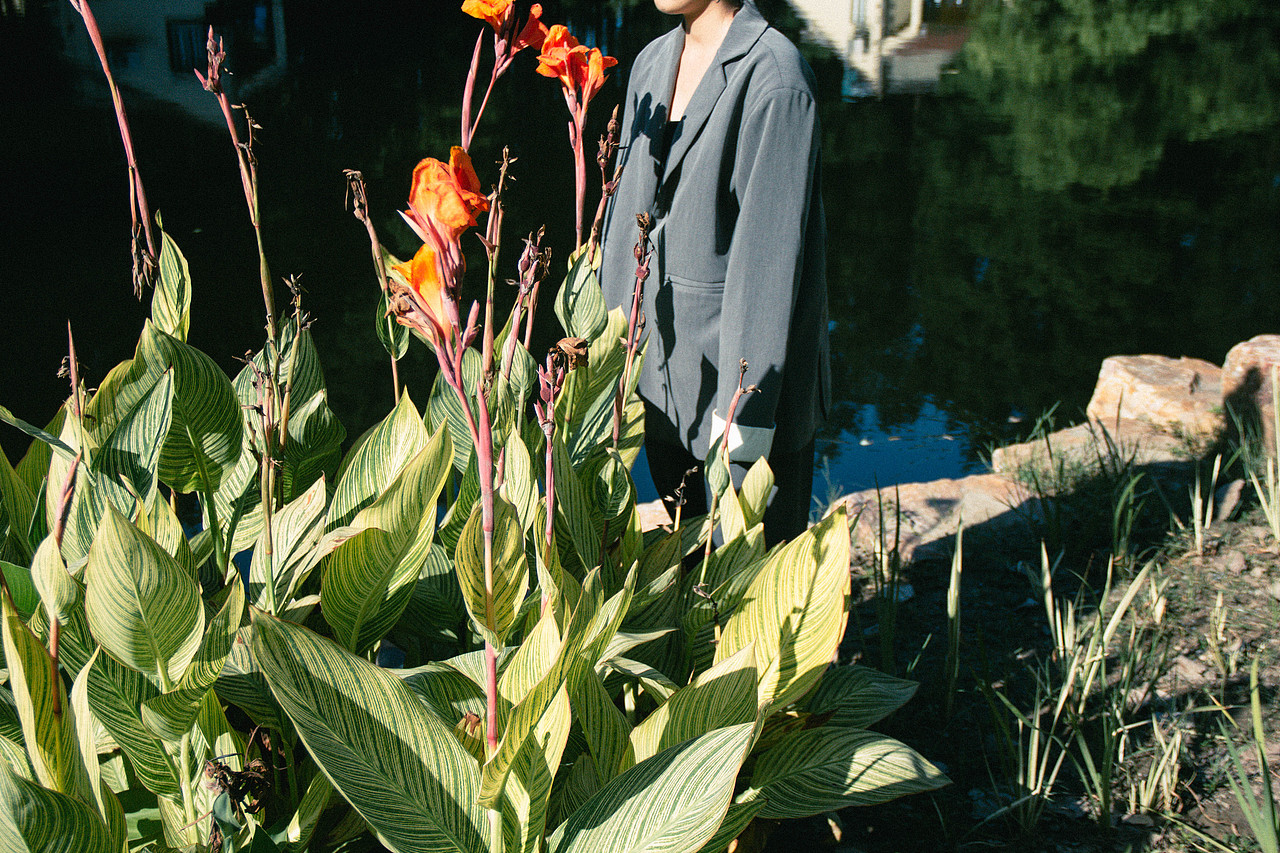 光，落在你脸上