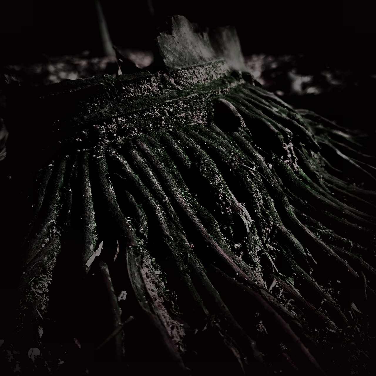 被忽视的自然美（图ZMTI0OTU3Njk2） - 风光摄影 - 站酷设计师Jauver原创素材 - 站酷ZCOOL