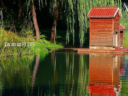 光（个人主页-ZMjQyNzMxNTI=） - 风光摄影 - 站酷设计师萍清水原创素材 - 站酷ZCOOL