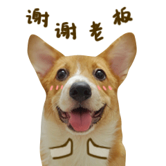 冬菇表情第二弹