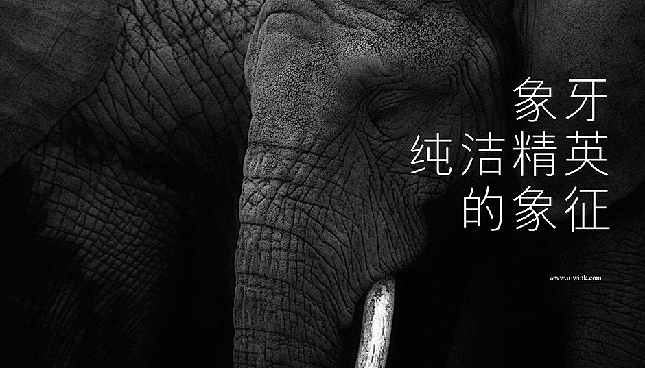 象牙会-高端精英会馆